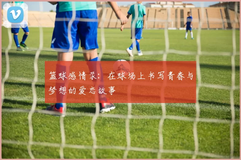 篮球感情录：在球场上书写青春与梦想的爱恋故事