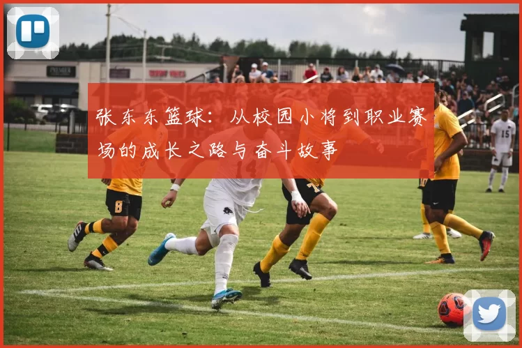 张东东篮球：从校园小将到职业赛场的成长之路与奋斗故事