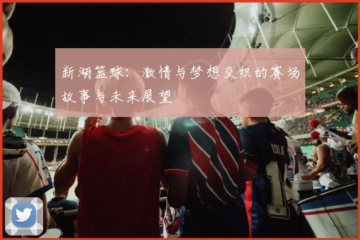 新湖篮球：激情与梦想交织的赛场故事与未来展望