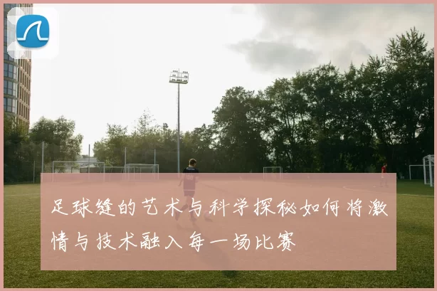 足球缝的艺术与科学探秘如何将激情与技术融入每一场比赛